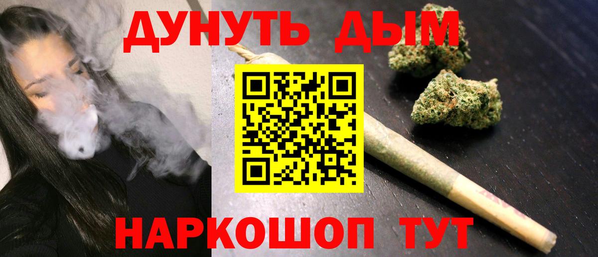 Конопля гибрид Гатчина